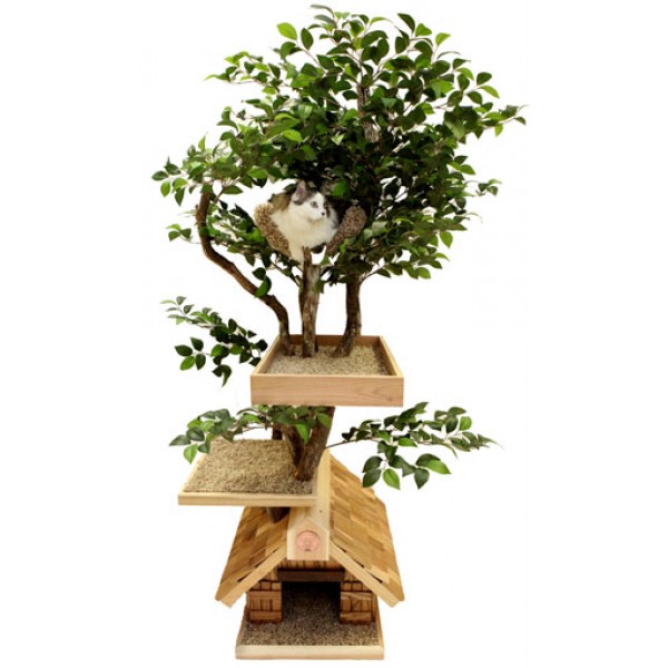 arbre a chat feuille